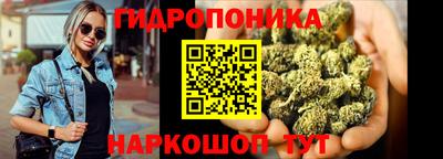 гидропоника Гусь-Хрустальный